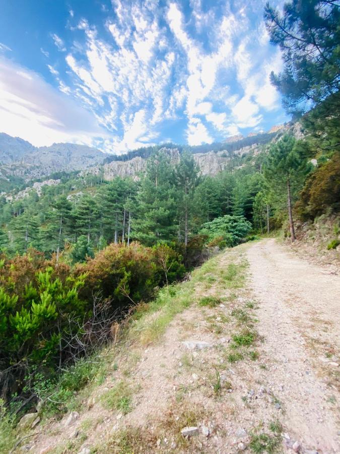 Апартаменты Calenzana Gr20 Экстерьер фото